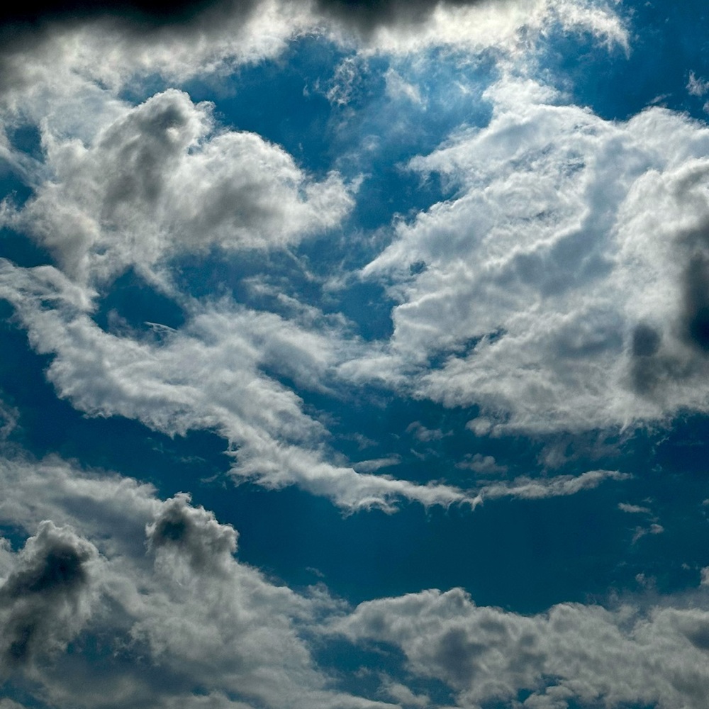 Pausing Shop For School!!